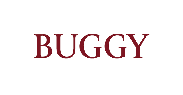 Buggy Hero